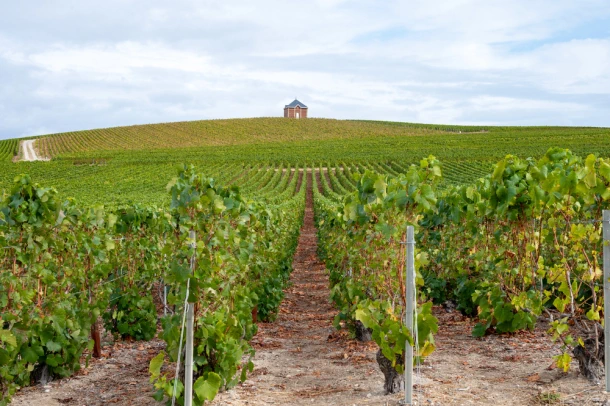 Séjour et week-end à Épernay