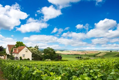 Location vacances marne